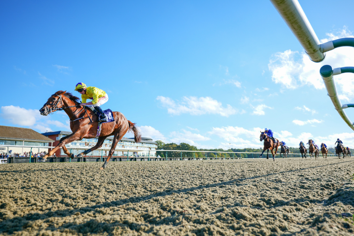 Lingfield Racecourse